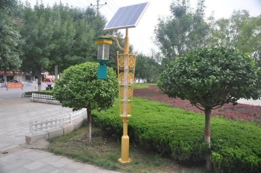 景隆果园太阳能杀虫灯