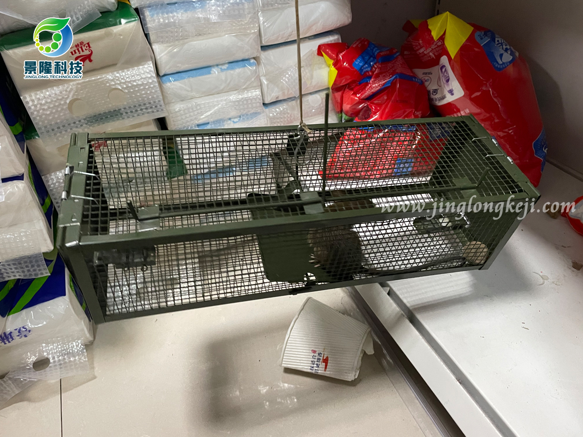 双开门捕鼠笼效果