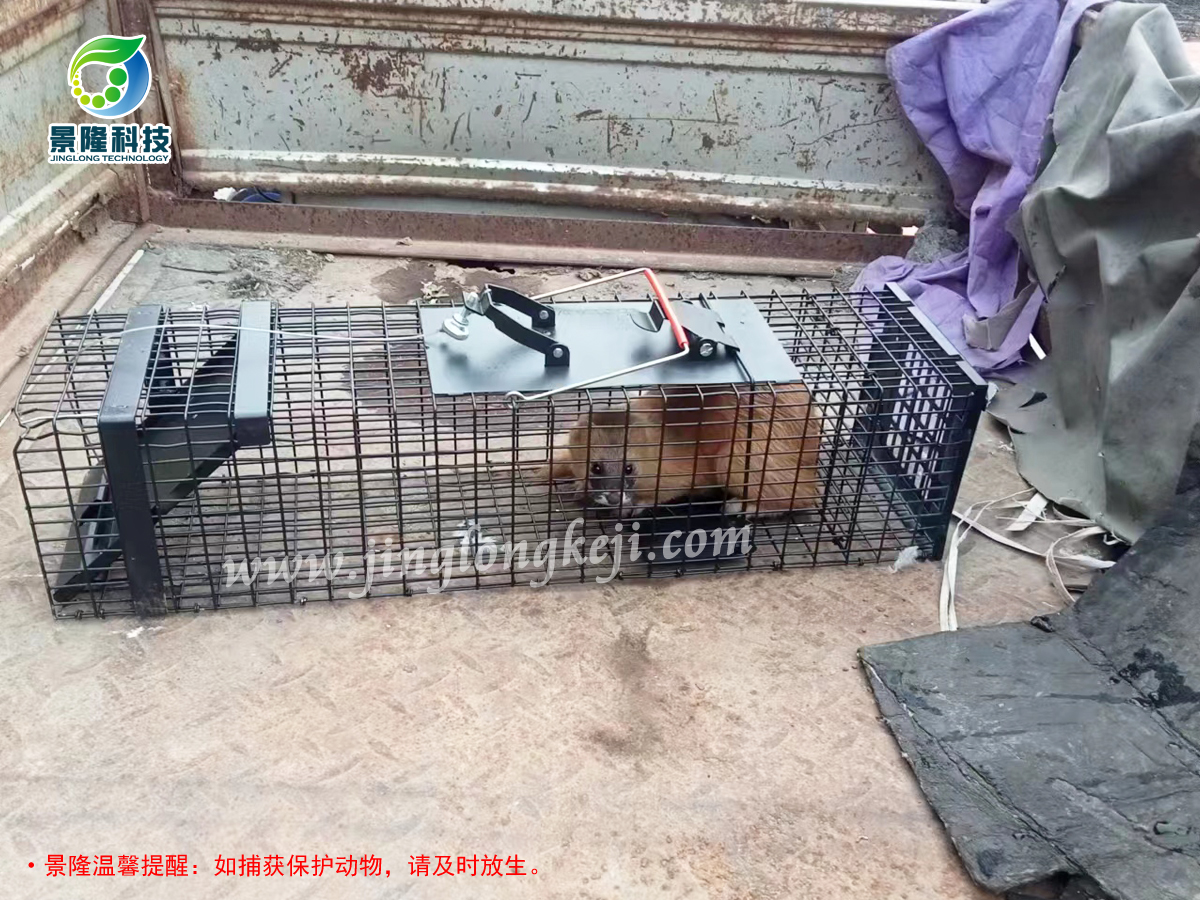 治理鸽舍黄鼠狼捕捉笼厂家沧州景隆